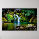 Search for forest land posters Green
