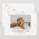 Search for of life holiday cards Cute