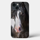 Search for horse ipad cases Western