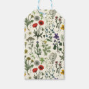 Search for artistic gift wrap Botanical