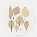 Search for vintage drawing stickers Botanical