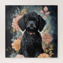 Search for poodle puzzles Puppy