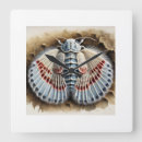 Search for insect clocks Summer