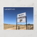 Recherche de dinosaure cartes postales Antique