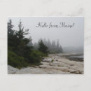 Search for evergreen tree postcards Rocks