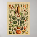 Search for vintage vegetables posters Vegan
