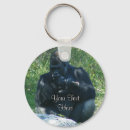 Recherche de gorilles porteclés Singe