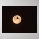 Search for bosque del apache posters New mexico