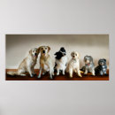 Search for mutt art Labrador
