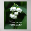 Search for white lily posters Flowers