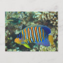 Search for juvenile postcards No people