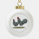 Search for poultry ornaments Bantam