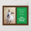 Search for cute reindeer postcards Adorable
