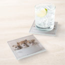Search for cute animals coasters Pet