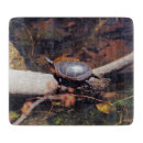 Recherche de tortue planches à découper Reptiles