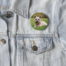 Recherche de schnauzer accessoires Terrier