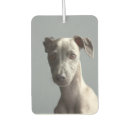 Recherche de chien désodorisants voiture Personnalisation