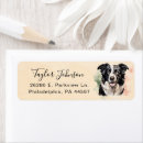 Search for border collies return address labels Cute