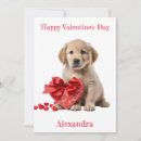 Search for golden retriever valentines day cards Pet