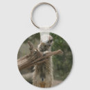Search for meerkat keychains Animals