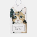 Recherche de habillez Animal familier