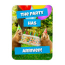 Search for birthday cake magnets Celebration