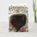Search for cat lover christmas cards Santa