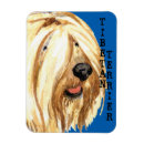 Recherche de tibétain magnets Dog