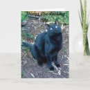 Recherche de yeux verts vœux cartes Noir