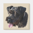 Search for friend dog magnets Black