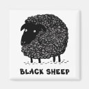 Search for sheeps magnets Funny