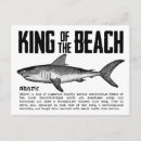 Search for definitions postcards Vintage