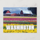 Search for happy birthday tulips postcards Flower