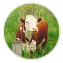 Search for cow knobs and pulls Cute