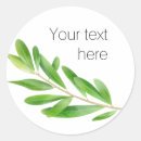 Search for olive leaves stickers Branch