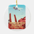 Search for arizona ornaments Cartoon