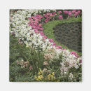 Search for micro magnets Botanical