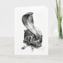 Search for black snake cards Black and white
