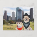 Search for cute cowboy postcards Funny