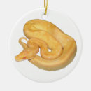 Search for ball python christmas Snake