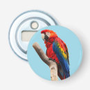 Recherche de perroquet ouvre bouteilles Oiseau