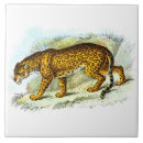Recherche de jaguar carreaux Nature