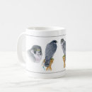 Search for falconry mugs Peregrine
