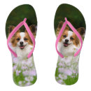 Search for toy shoes Dog