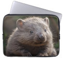 Recherche de joey électronique Faune