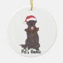 Search for chocolate ornaments Santa