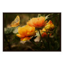 Recherche de papillons posters Nature