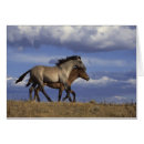 Search for yearling Filly