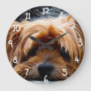 Recherche de terriers yorkshire horloges Dog