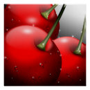 Recherche de cerises posters Fruits